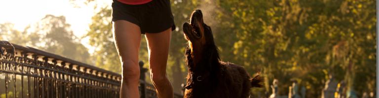 Five ways to support your Joint Health