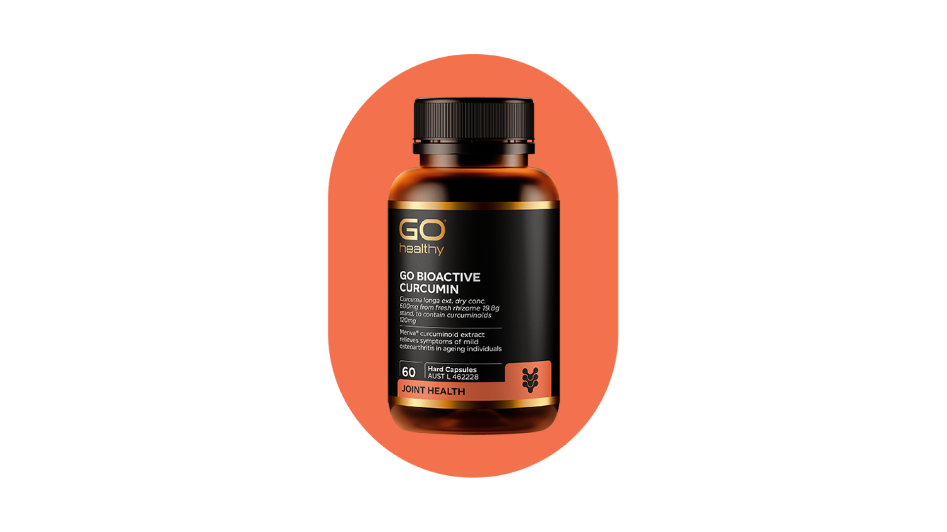 GO BIOACTIVE CURCUMIN