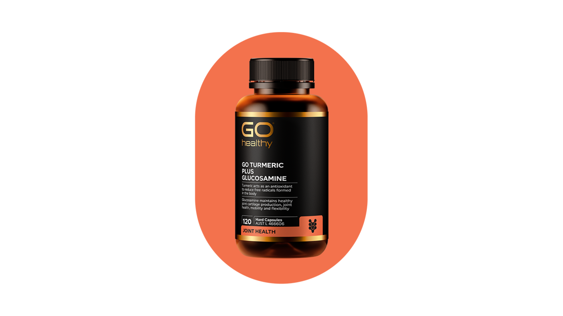 GO TURMERIC PLUS GLUCOSAMINE