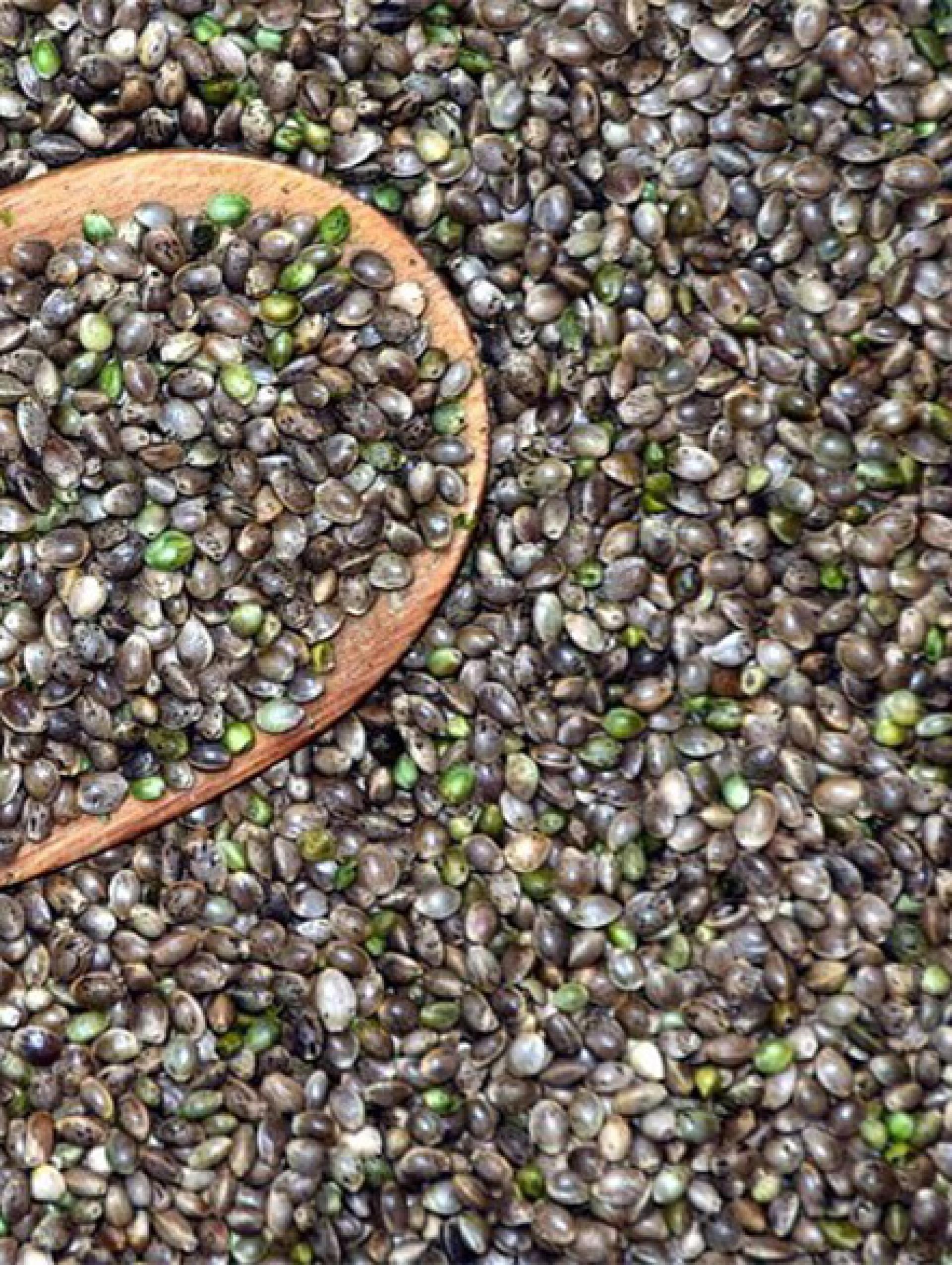 Hemp Seed Oil